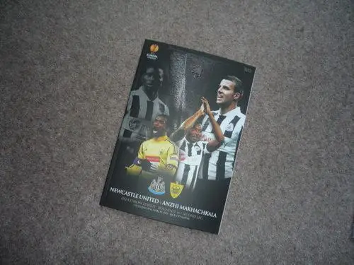 НЬЮКАСЛ ЮНАЙТЕД - АНЖИ 2013