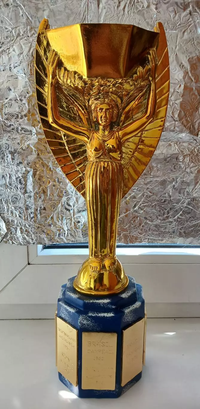Чемпионат мира.кубок мира Жюля Римэ 1