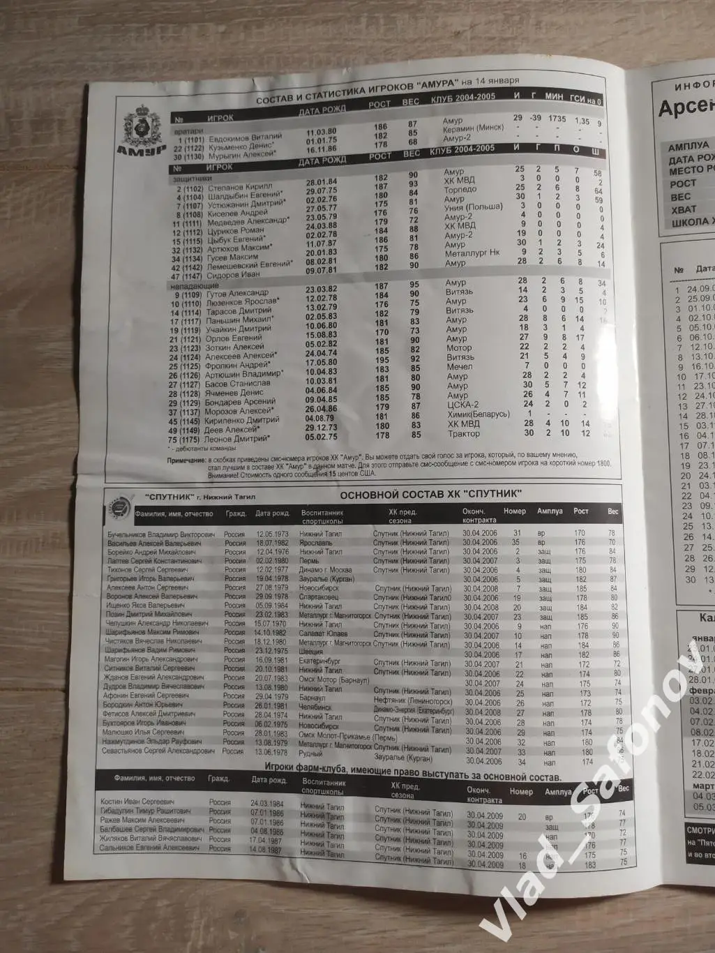 Амур(Хабаровск) - Спутник(Нижний Тагил). Высшая лига. 16-17/01/2006 1