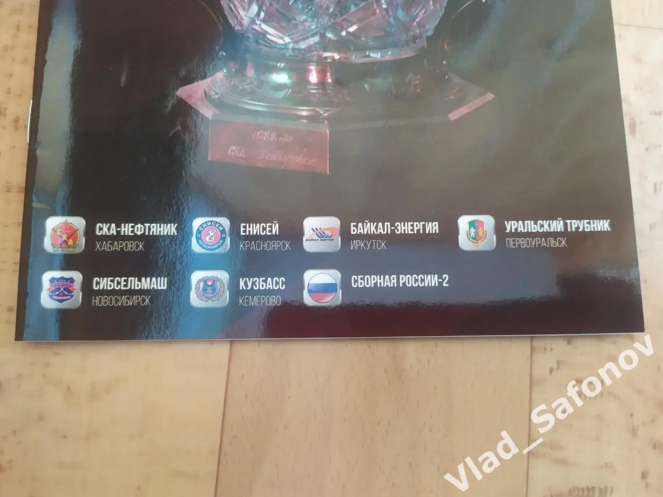 Хоккей с мячом. Кубок России. Хабаровск 2017. Участники на фото. 1