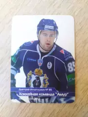 Календарик. Амур(Хабаровск) 2011/2012. Дмитрий Игнатушкин.