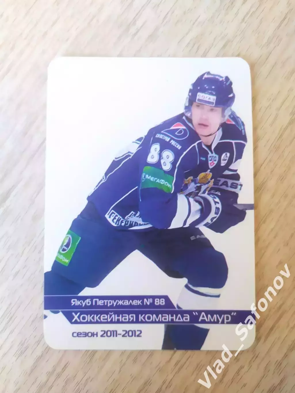 Календарик. Амур(Хабаровск) 2011/2012. Якуб Петружалек.