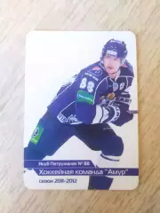 Календарик. Амур(Хабаровск) 2011/2012. Якуб Петружалек.