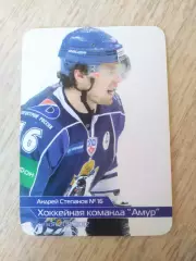 Календарик. Амур(Хабаровск) 2011/2012. Андрей Степанов.