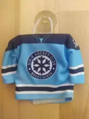 Мини джерси для авто. Сибирь(Новосибирск) #54.