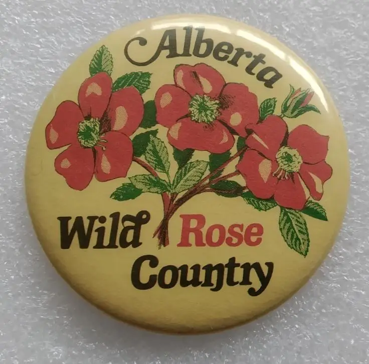 Геральдика, Герб, Город, Альберта, Канада, Alberta Страна Дикой Розы Роза Цветок