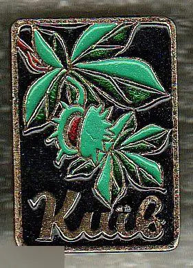 Геральдика, Герб, Киев, Украина, Каштан