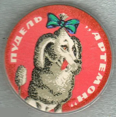 Детские, Детский, Мультфильм, Собака, Собачка, Пудель, Артемон, Буратино, ф - 56