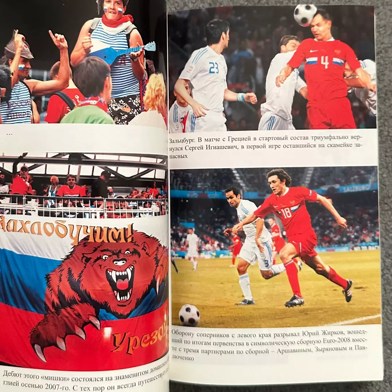 Игорь Рабинер, ЕВРО 2008 Бронзовая Сказка России, 2008 год 5