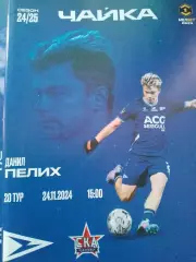 Чайка - СКА Хабаровск 2025