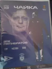 Чайка-Сокол 2025