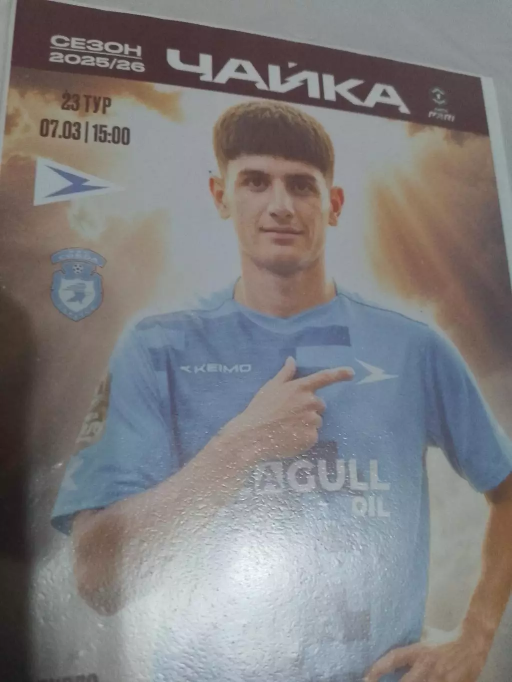 Чайка-Сокол 2026