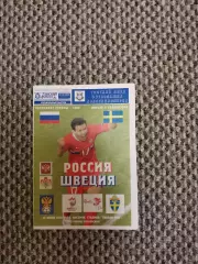 Чемпионат Европы 2008 Россия-Швеция (авт. В. Приходкин)