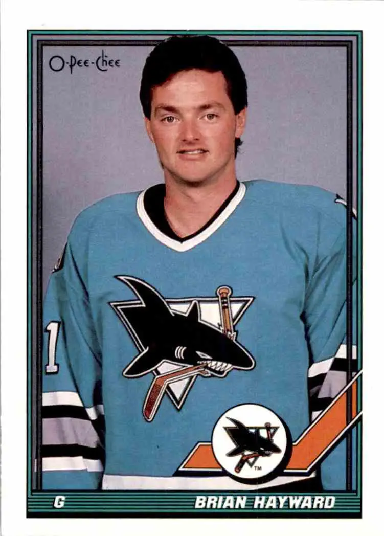 1991-92 O-Pee-Chee NHL # 178 Brian Hayward