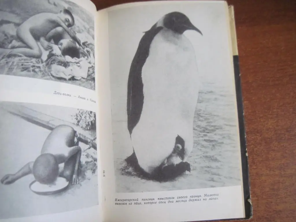 Акимушкин И. Тропою легенд. Рассказы о единорогах и василисках, Серия ЭВРИКА 196 3