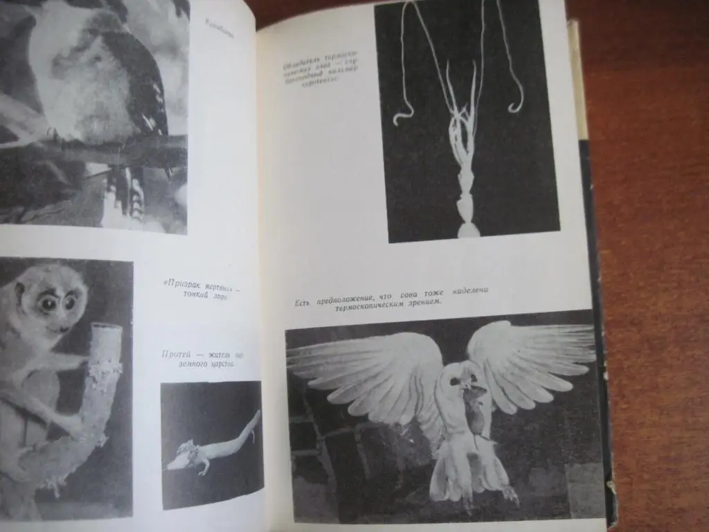 Акимушкин И. Тропою легенд. Рассказы о единорогах и василисках, Серия ЭВРИКА 196 4