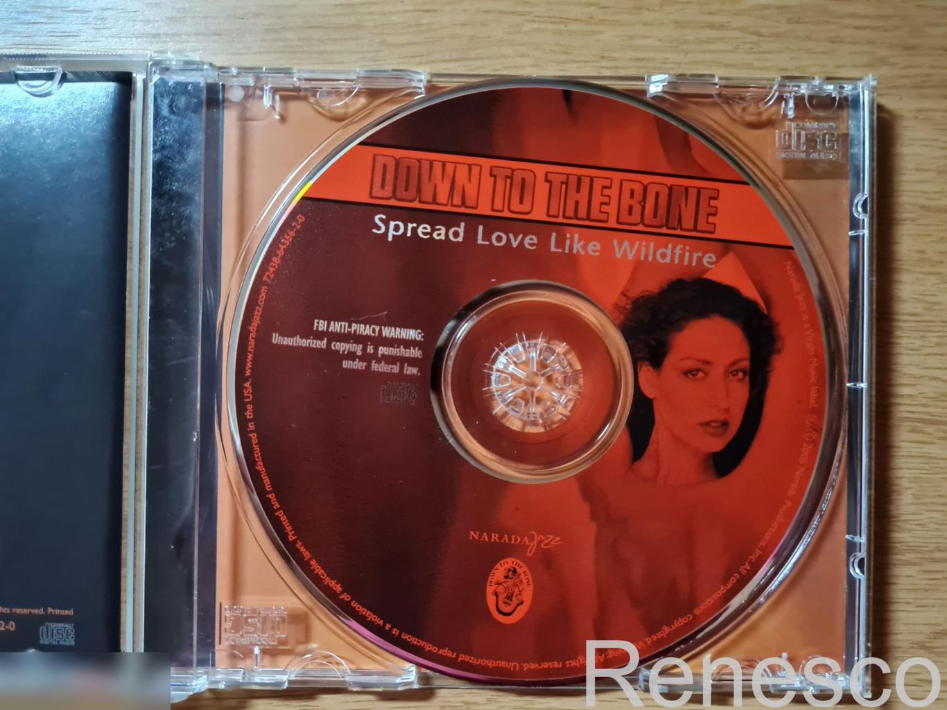 Down To The Bone ?– Spread Love Like Wildfire (USA) (2005) 4