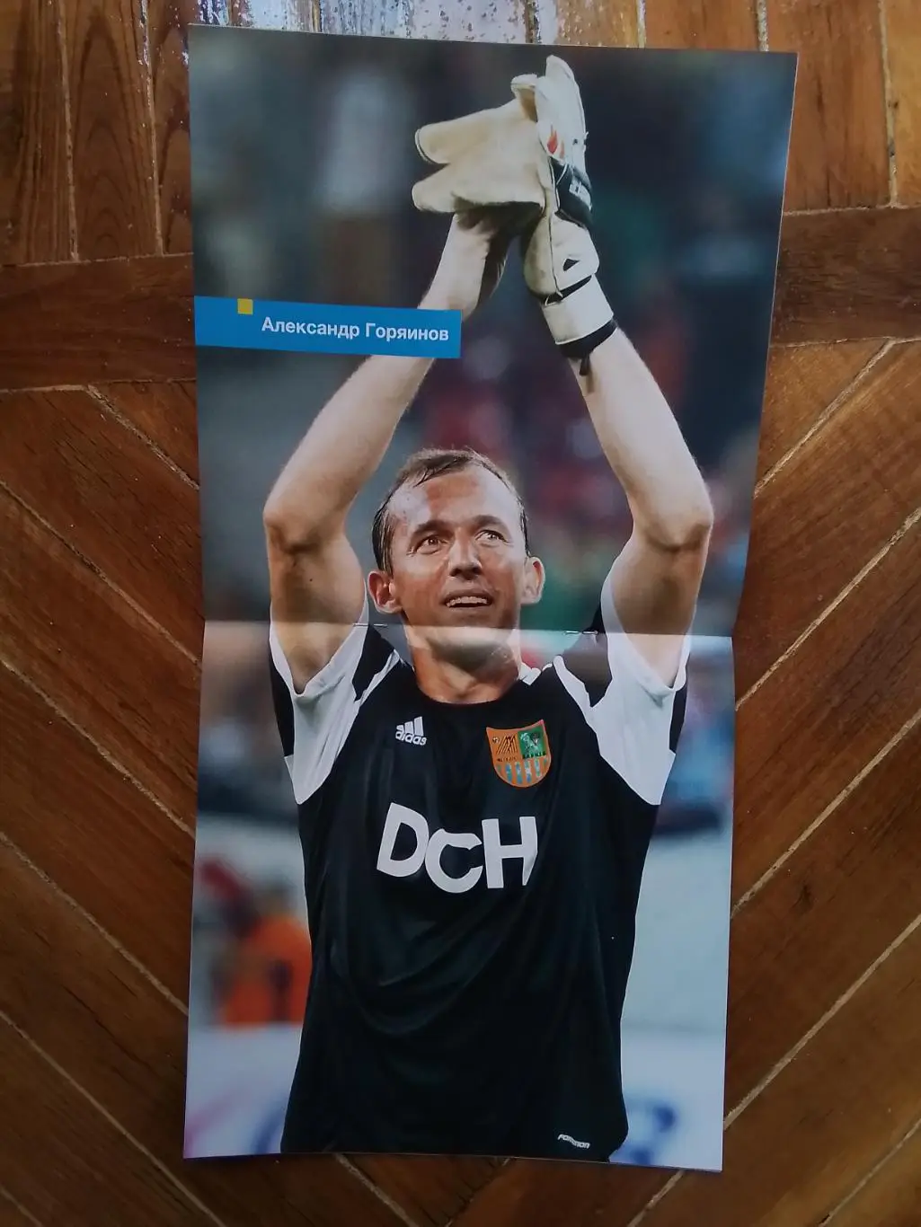 Металлист Харьков - Динамо Бухарест 2012 - 2013 ЛЕ, плей-офф Горяинов 1