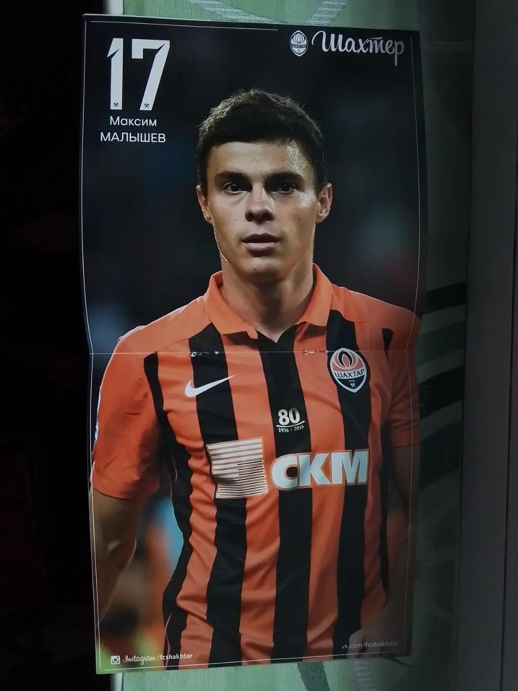 Шахтер Донецк - Сельта Виго 2016 - 2017 ЛЕ 1/16 Постер - Максим Малышев 1