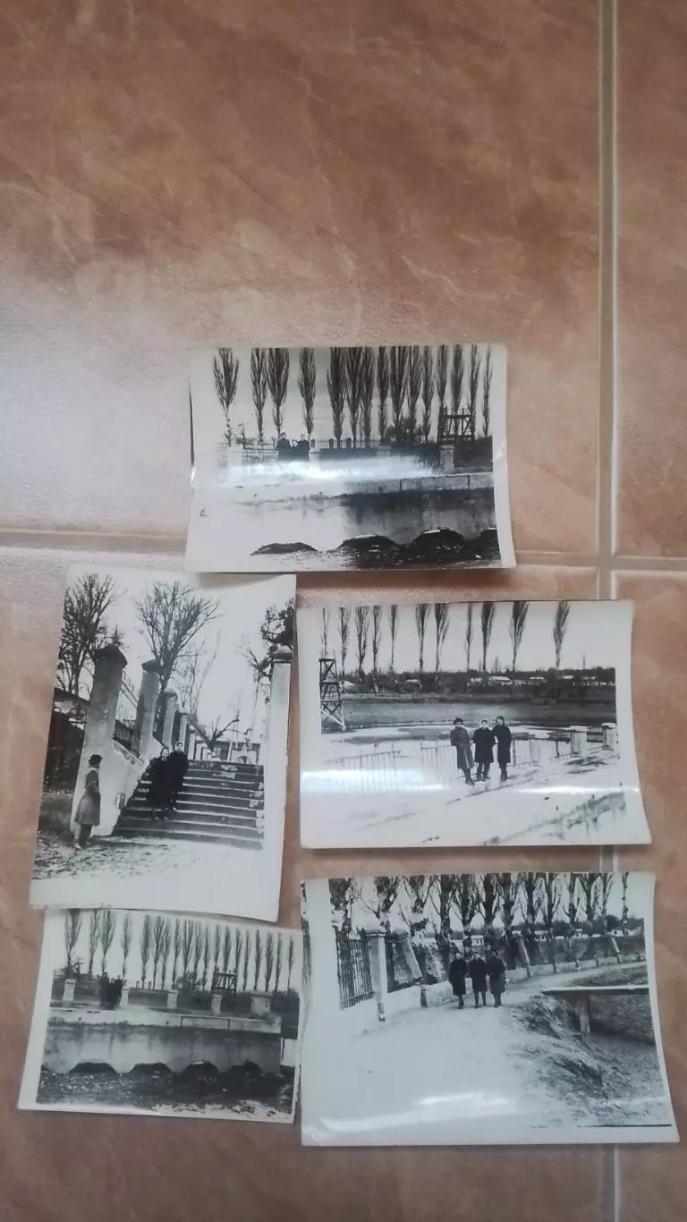 5 фото Неизв водный стадион Деревянная вышка трибуна 1956 - 1959 гг