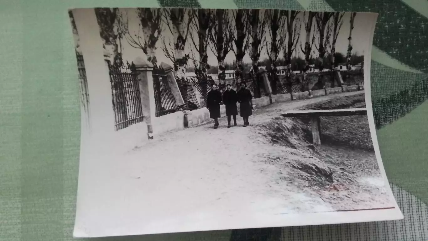 5 фото Неизв водный стадион Деревянная вышка трибуна 1956 - 1959 гг 1