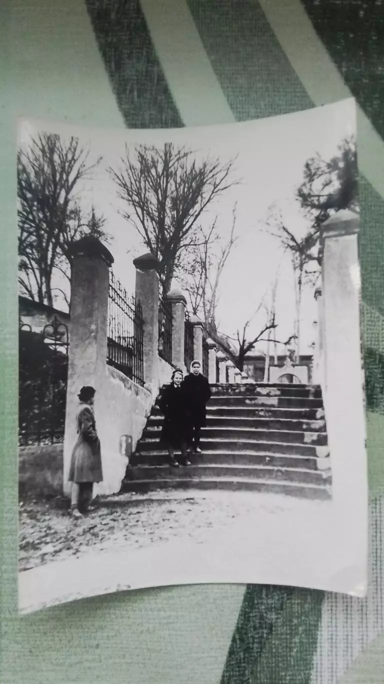 5 фото Неизв водный стадион Деревянная вышка трибуна 1956 - 1959 гг 3