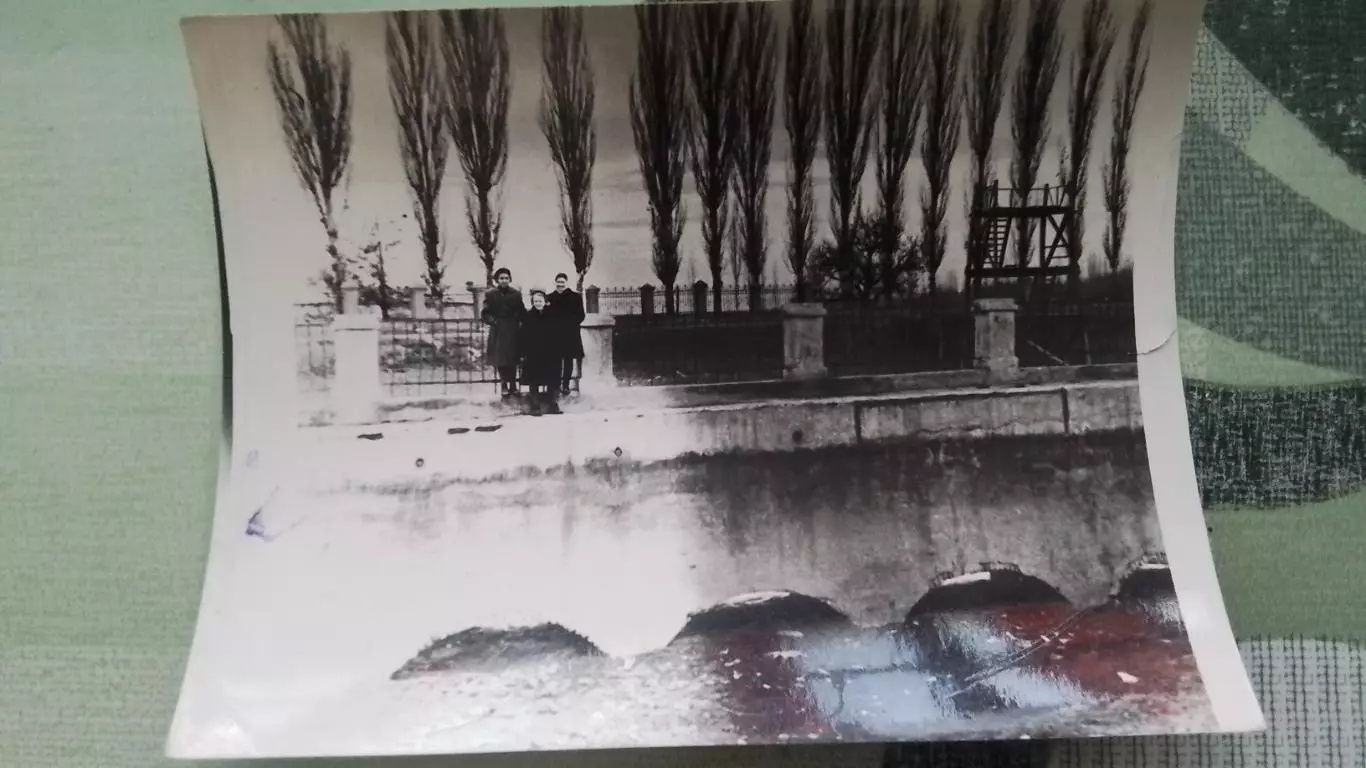 5 фото Неизв водный стадион Деревянная вышка трибуна 1956 - 1959 гг 4