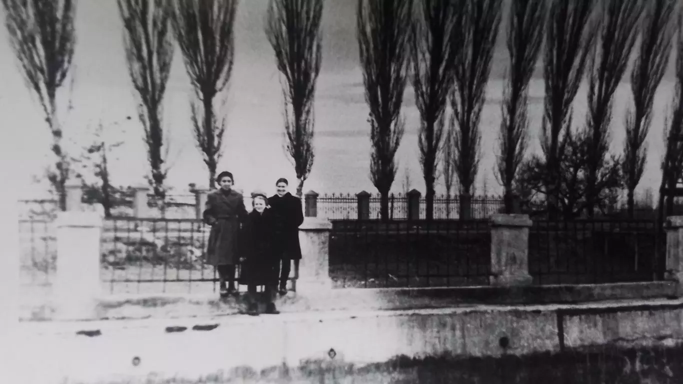 5 фото Неизв водный стадион Деревянная вышка трибуна 1956 - 1959 гг 6