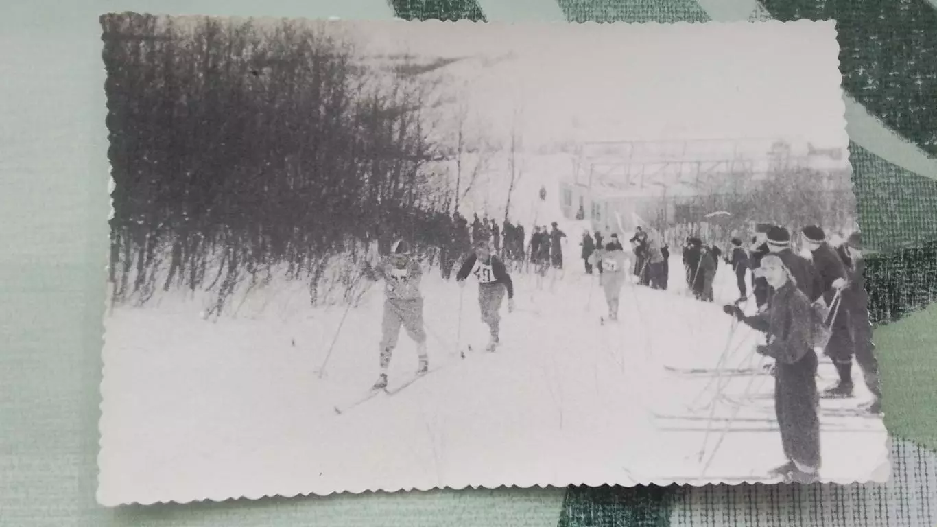 Фото Лыжи Студенческий кросс в Лесопарке Харьков Начало 1950-х гг