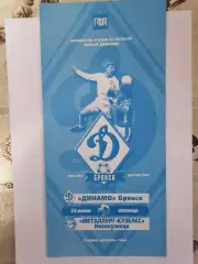 Программка матча чемпионата Динамо Брянск - Металлург Новокузнецк 25.06.2004г.
