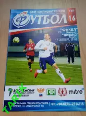 Факел Воронеж - Динамо Брянск 17. 10.2014