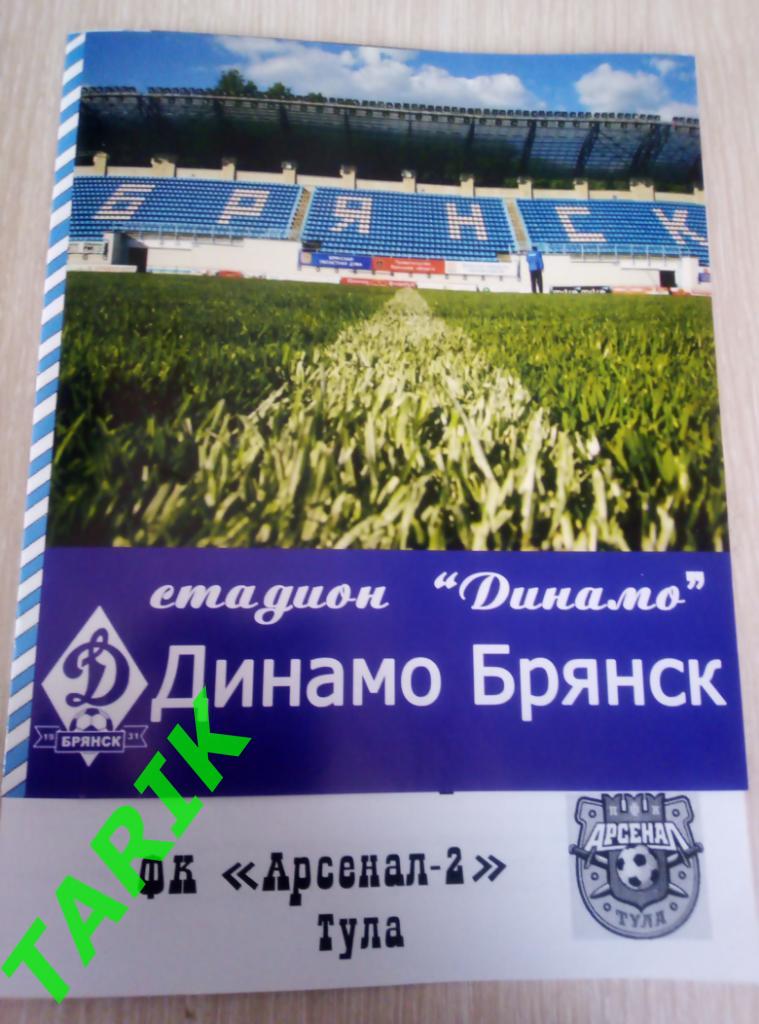 Динамо Брянск -Арсенал 2 Тула 4.09.2021 альтернативная