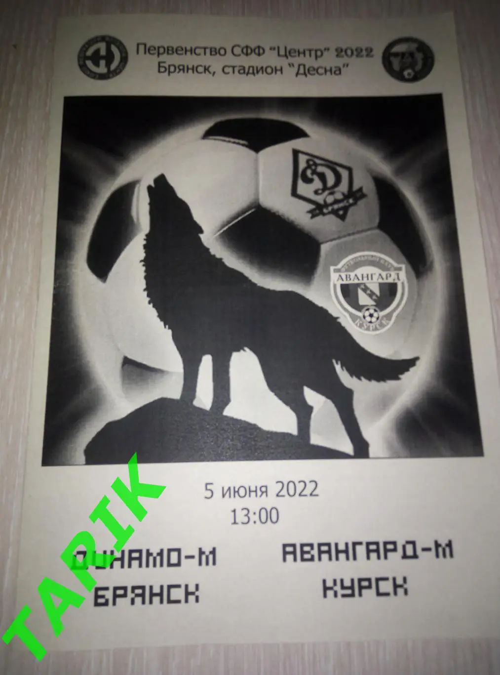 Динамо Брянск - Авангард М Курск 5.06.2022 альтернативная