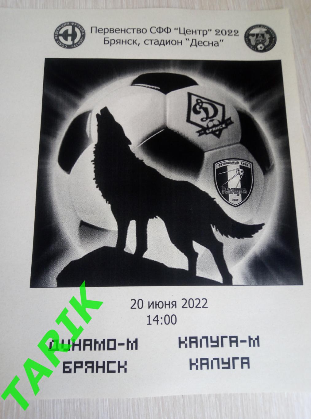 Динамо Брянск - Калуга М 20.6.2022 альтернативная
