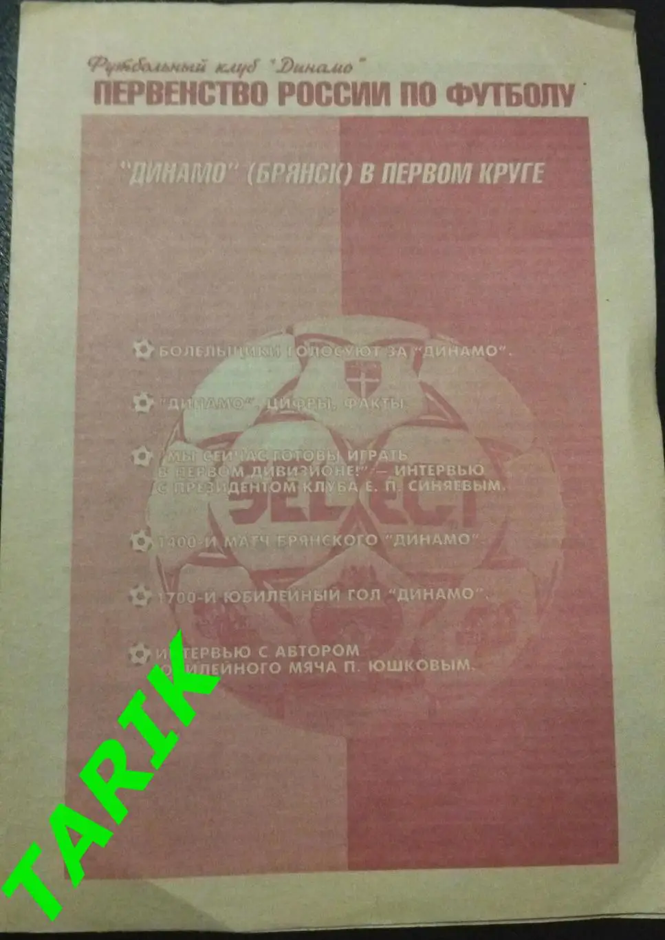 Буклет Динамо Брянск 1999 (в 1 круге)