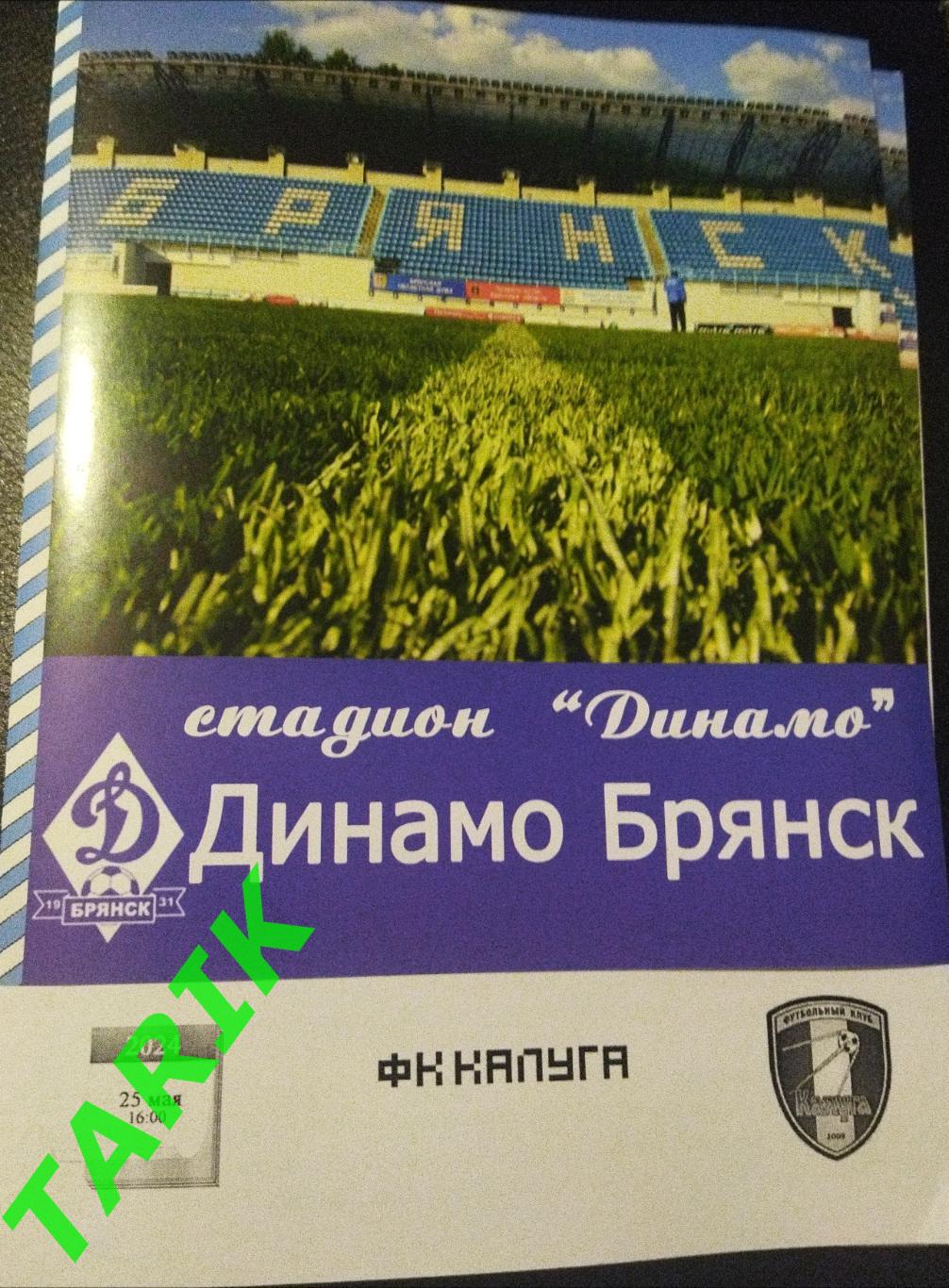 Динамо Брянск - ФК Калуга 25.05.2024 альтернативная