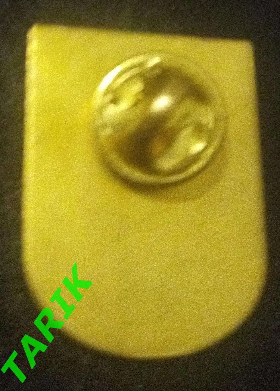 Матчевый знак Рубин Казань -Динамо Киев 2009 1