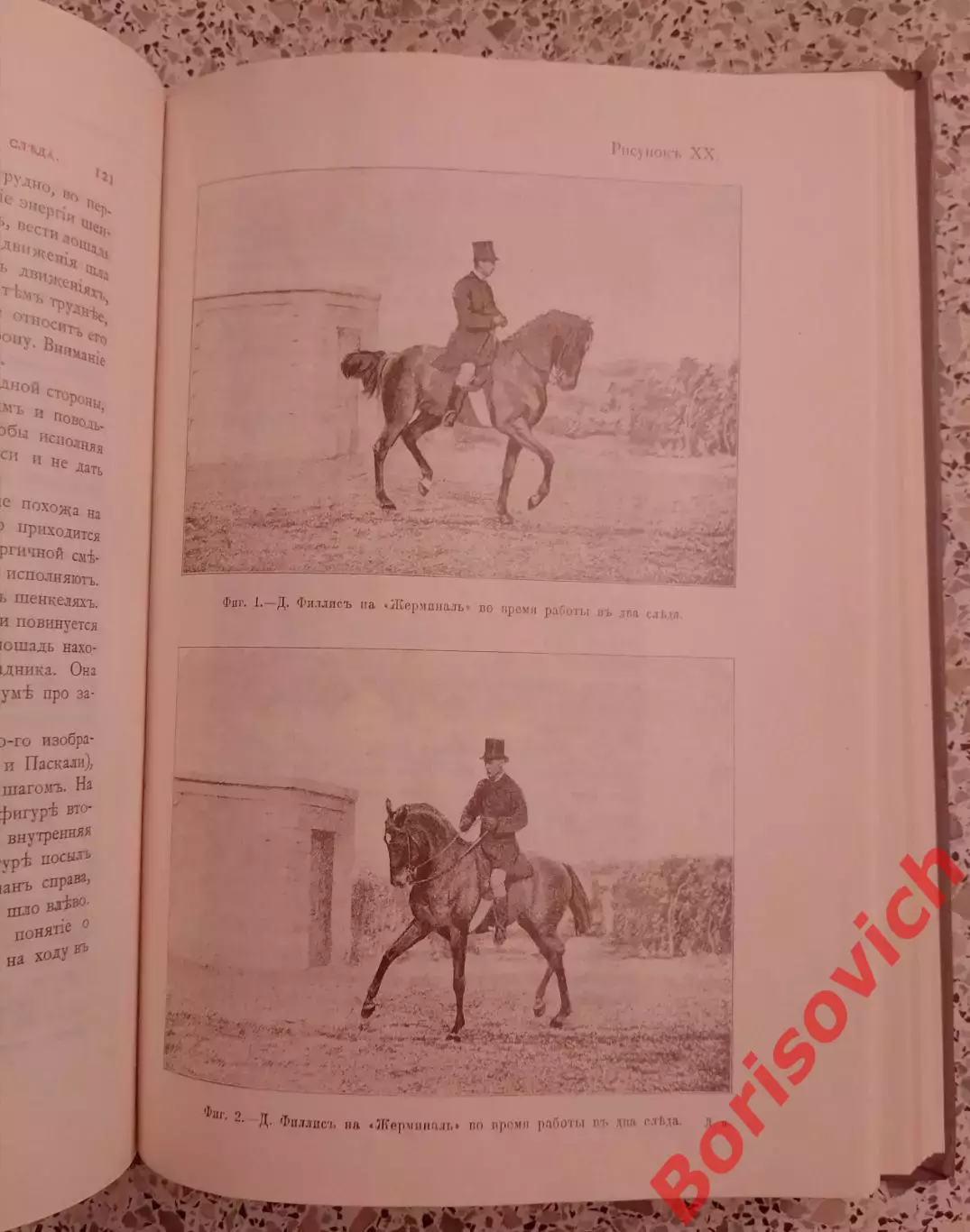 Джеймс Филлипс ОСНОВЫ ВЫЕЗДКИ И ЕЗДЫ 1990 г 303 страницы 4