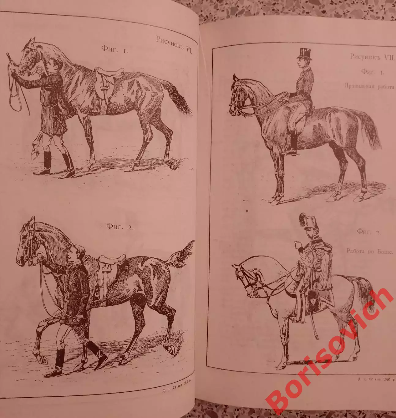 Джеймс Филлипс ОСНОВЫ ВЫЕЗДКИ И ЕЗДЫ 1990 г 303 страницы 5