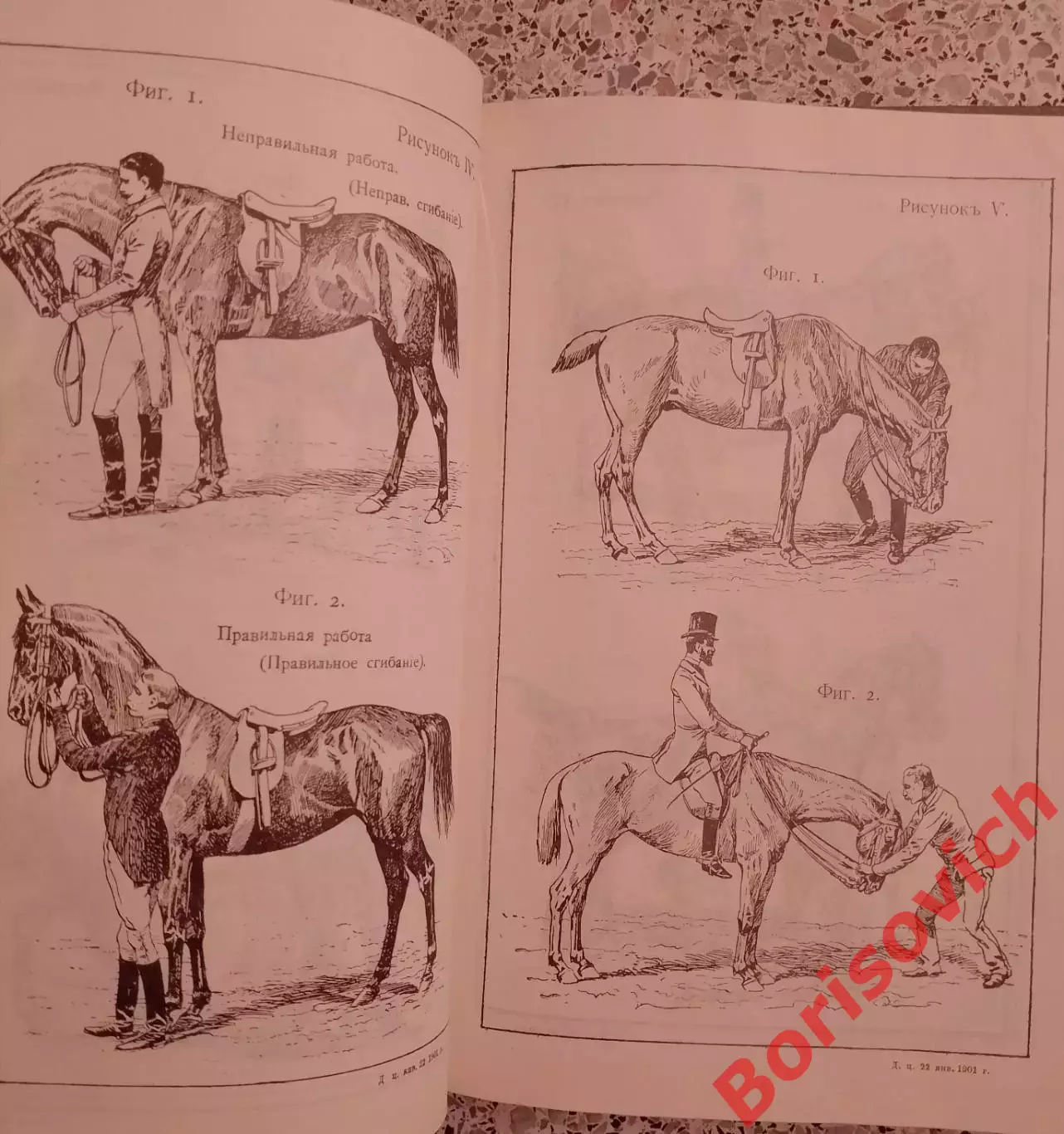 Джеймс Филлипс ОСНОВЫ ВЫЕЗДКИ И ЕЗДЫ 1990 г 303 страницы 3