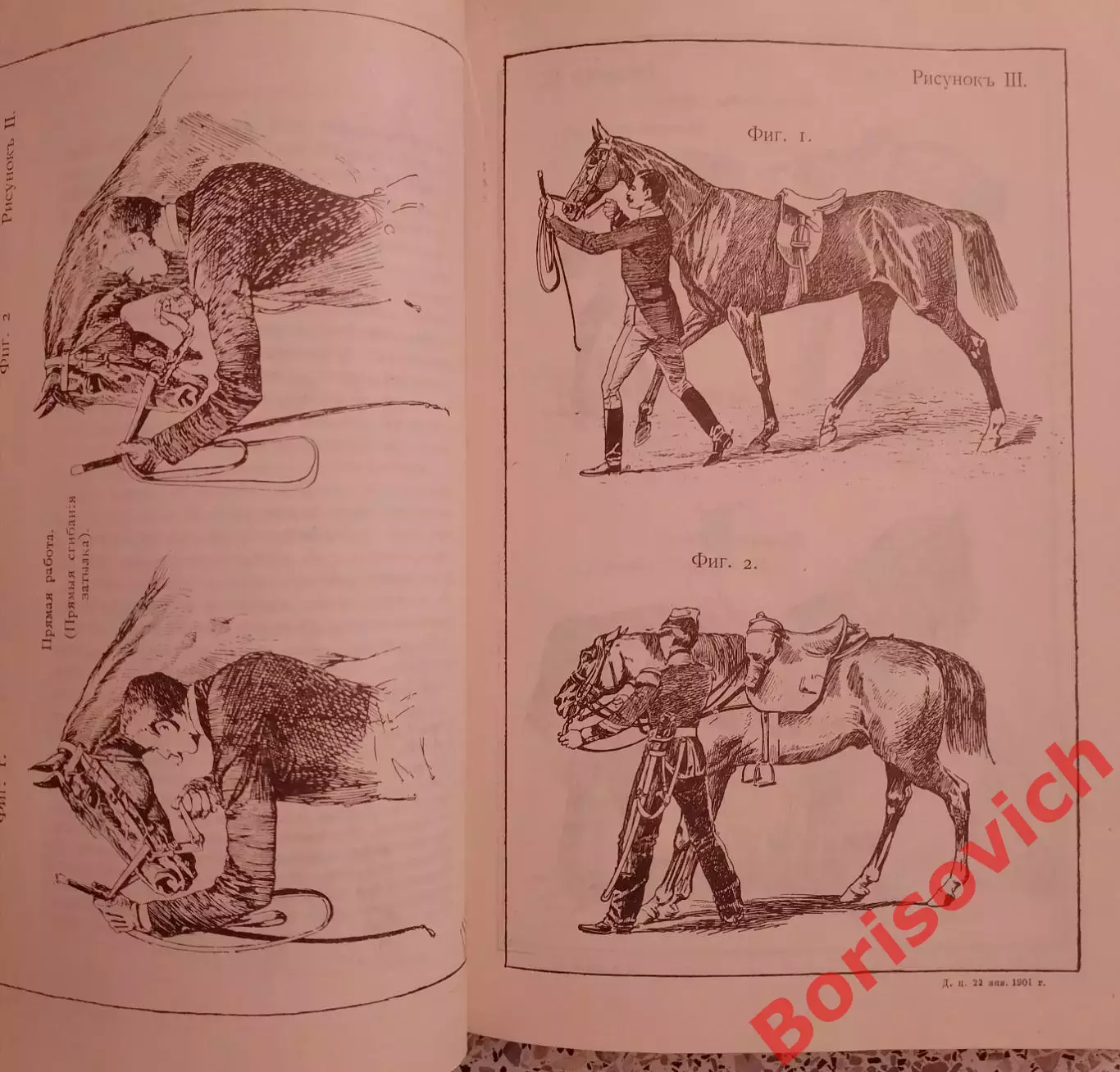 Джеймс Филлипс ОСНОВЫ ВЫЕЗДКИ И ЕЗДЫ 1990 г 303 страницы 2