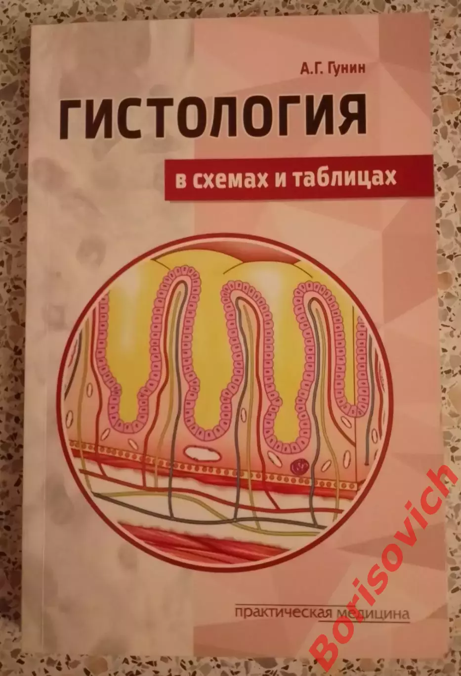 А. Г. Гунин ГИСТОЛОГИЯ 2019 г 288 стр с иллюстрациями Тираж 500 экз