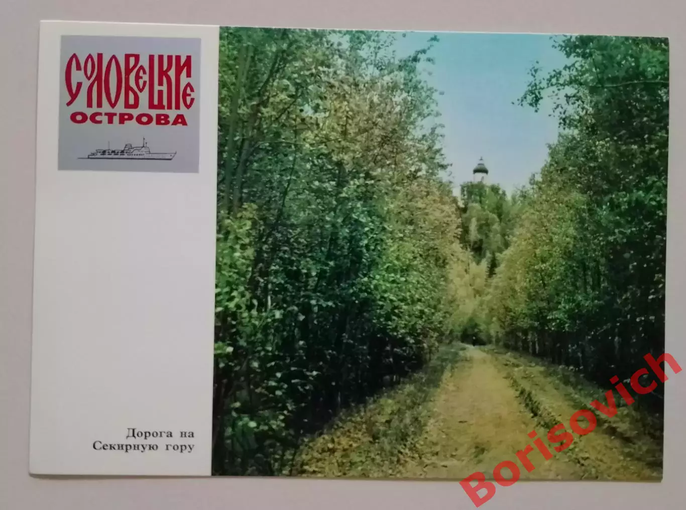 Соловецкие острова Дорога на Секирную гору