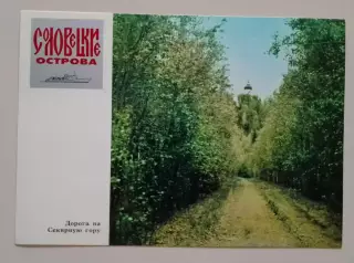 Соловецкие острова Дорога на Секирную гору