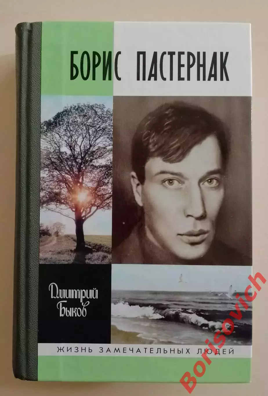 Дмитрий Быков ЖЗЛ БОРИС ПАСТЕРНАК 2007 г 893 стр Тираж 5000 экз