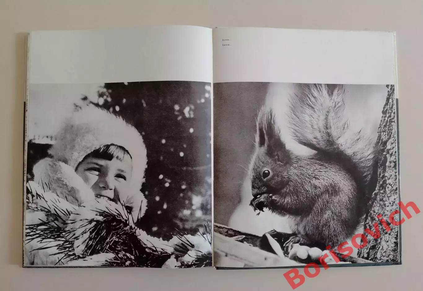 Фотоальбом КИРОВОГРАДЩИНА 1978 г 6