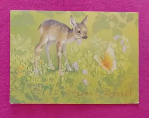Открытка Художник И. Исаков С днём рождения!