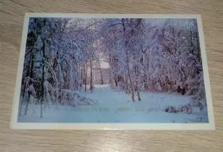 Открытка Фотография М. Величко С Новым годом! 1978