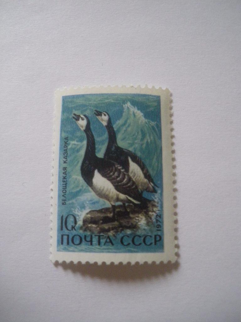 СССР 1972 Фауна Птицы Белощёкая казарка