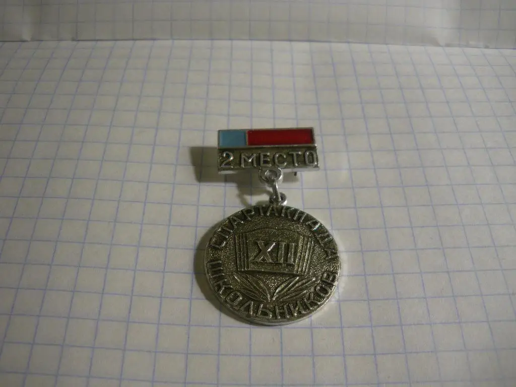 XII Спартакиада школьников 2 место